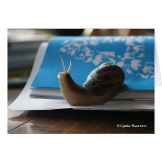 Laissez le soleil briller !