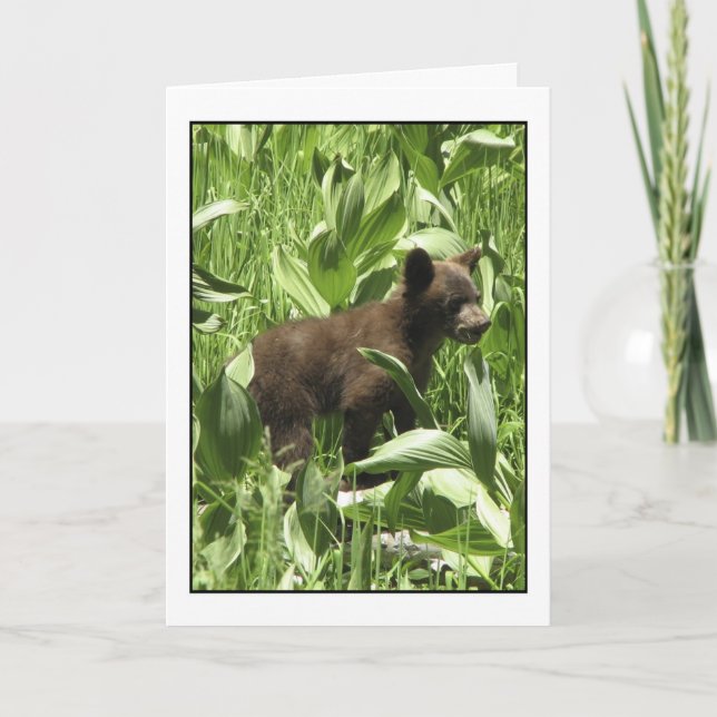 Laissez les ours être la carte des ours (Devant)