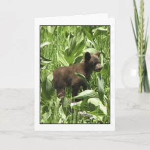 Laissez les ours être la carte des ours