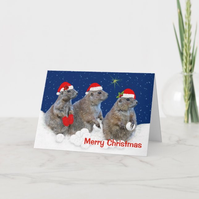 Laissez lui neiger carte de Noël (Devant)