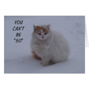 LAISSEZ-MOI DIRE QUE VOUS AVEZ L'AIR "MEOW" ET NON