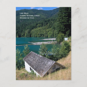 Lake Mills, carte postale de la forêt olympique