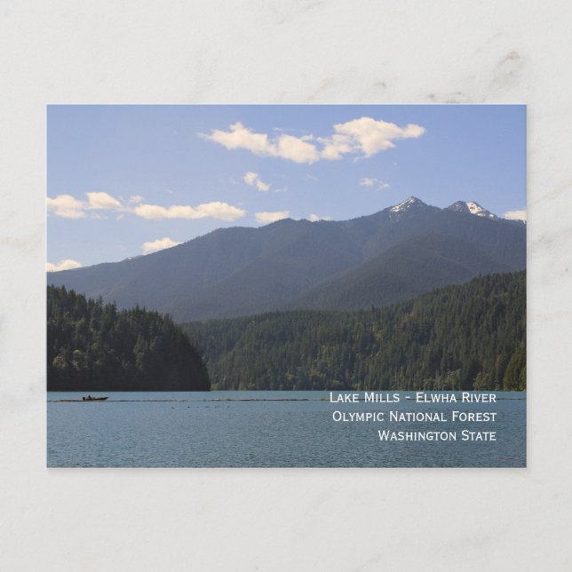 Lake Mills - Carte postale de la rivière Elwha (Devant)