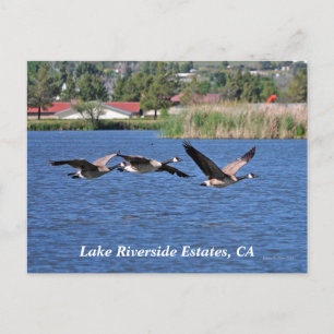 Lake Riverside Estates, carte postale CA