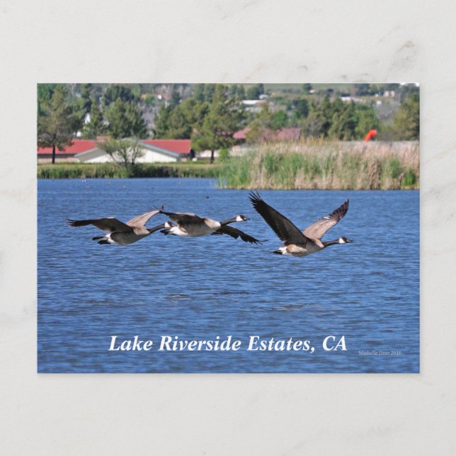 Lake Riverside Estates, carte postale CA (Devant)