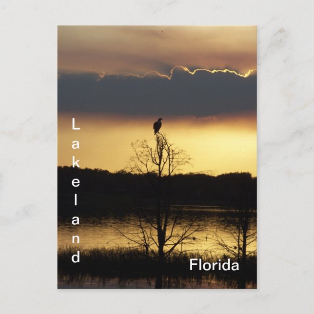 Lakeland Floride Sunset 139 Carte postale (Devant)