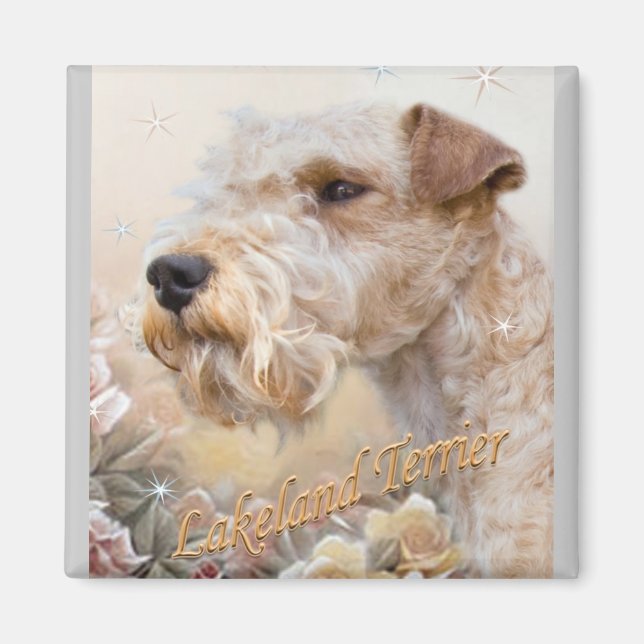 Lakeland Terrier Parmi les aimants Rose (Devant)