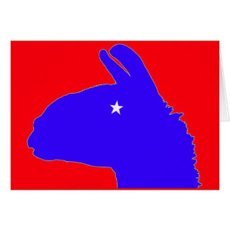 Lama : le lama lonestar du Texas