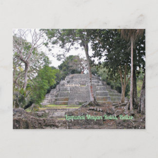 Lamanai Maya Ruines Belize Carte postale