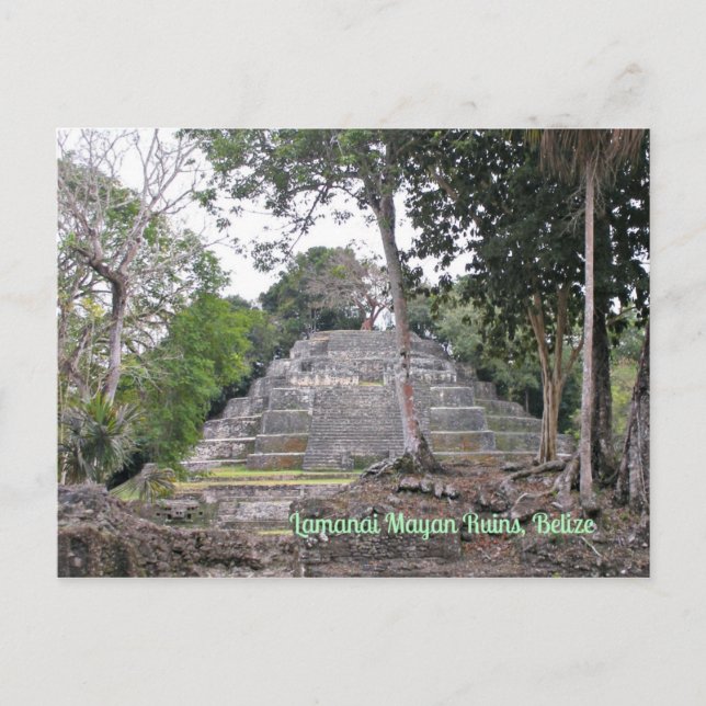 Lamanai Maya Ruines Belize Carte postale (Devant)