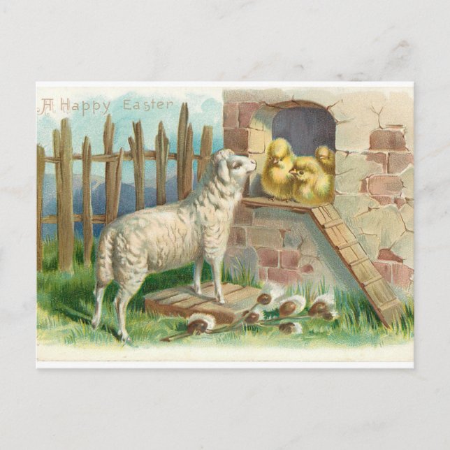 Lamb Avec Poussins Carte Postale De Vacances (Devant)