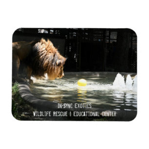 Lambert - Magnet de photos flexible