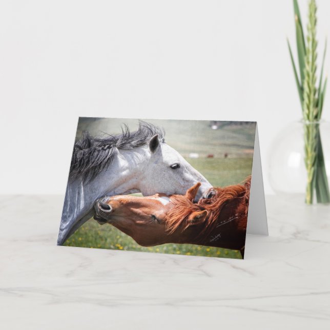 L'âme d'un cheval ! Carte de voeux "Hug" (Devant)