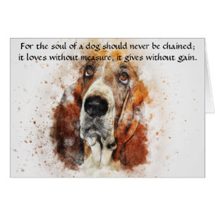 L'âme d'un chien - Basset Hound