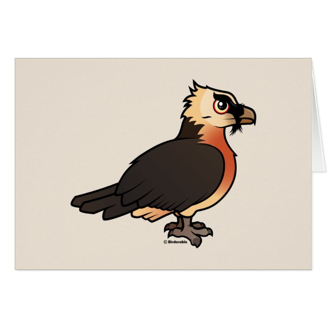 Lammergeier mignon (Devant horizontal)