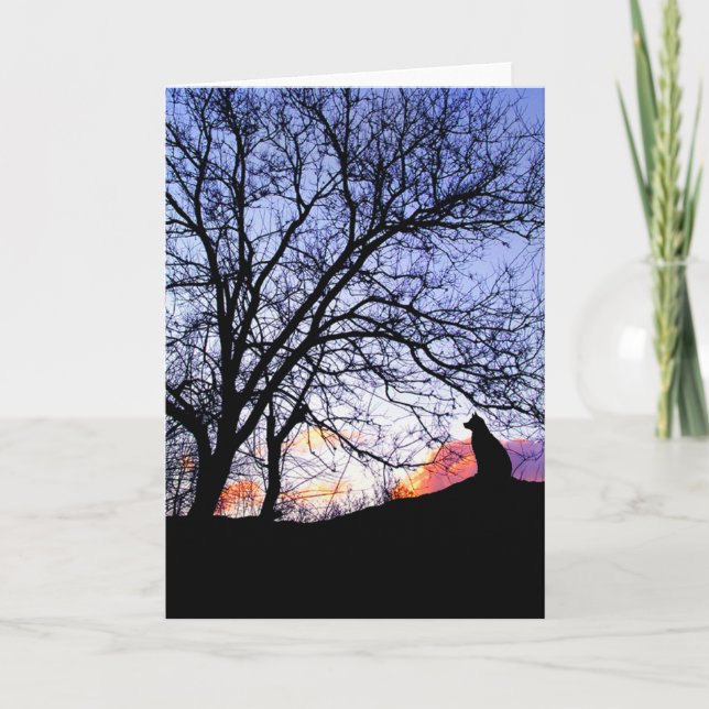 "L'amour au coucher du soleil" Perte d'une carte d (Devant)