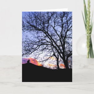 "L'amour au coucher du soleil" Perte d'une carte d