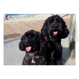 L'amour cardent pour toujours