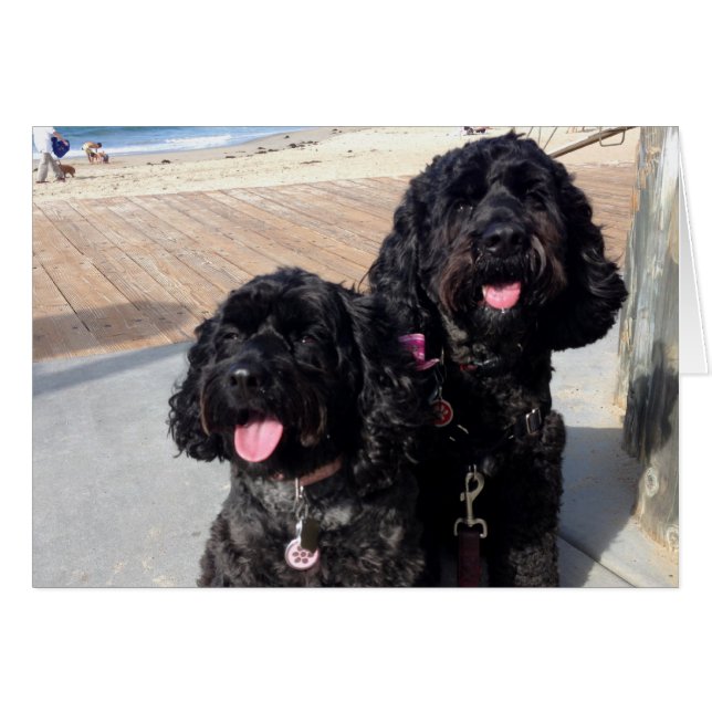 L'amour cardent pour toujours (Devant horizontal)