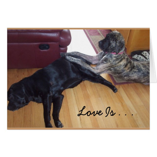 L'Amour, C'Est. . . Prendre Des Turns Donner Un Ma (Devant Horizontal)
