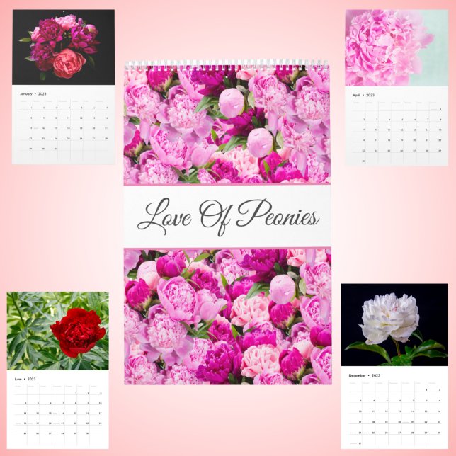 L'Amour Des Peonies Calendrier Mur (Créateur téléchargé)