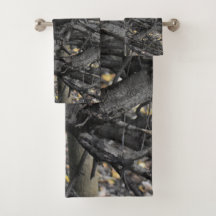 L'amour d'un arbre tombé