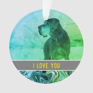 l'amour d'un chien