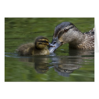 L'amour d'une mère