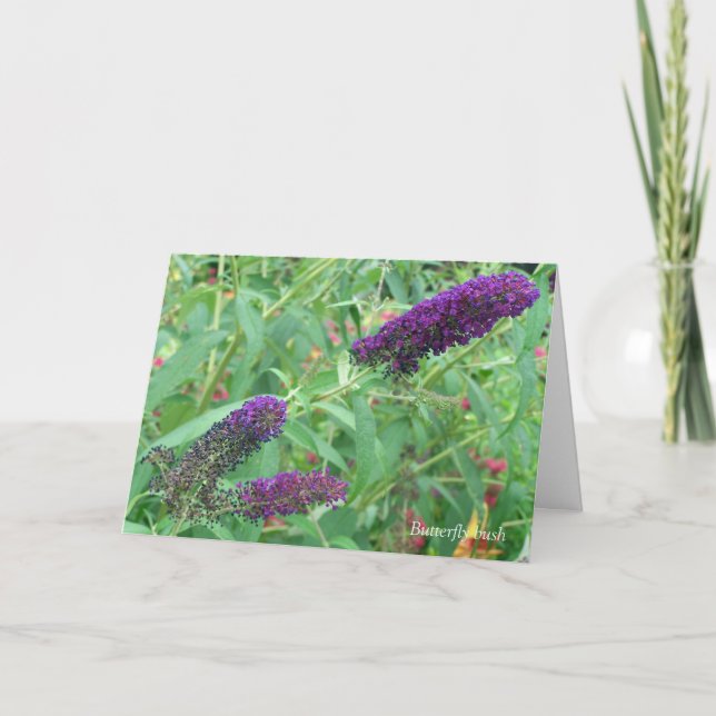 L'amour est comme une carte de voeux pour papillon (Devant)