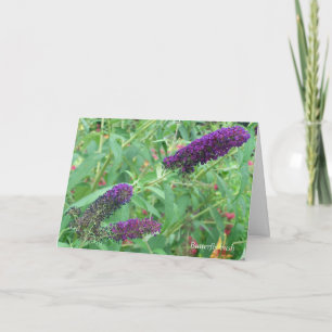 L'amour est comme une carte de voeux pour papillon