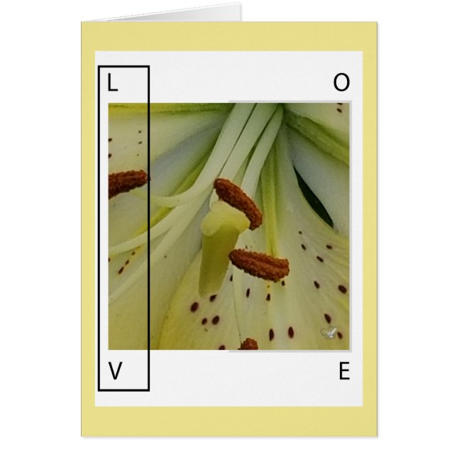 L'AMOUR EST LIS - SALUTATION CHRÉTIENNE (Devant)