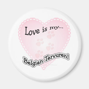 L'amour est Mon Tervuren Belge - Magnet