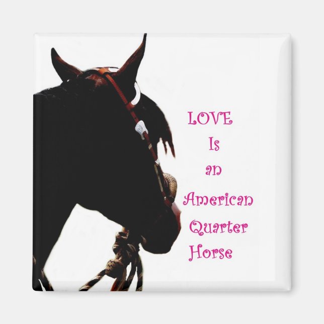 L'amour est un aimant à cheval du quart (Devant)