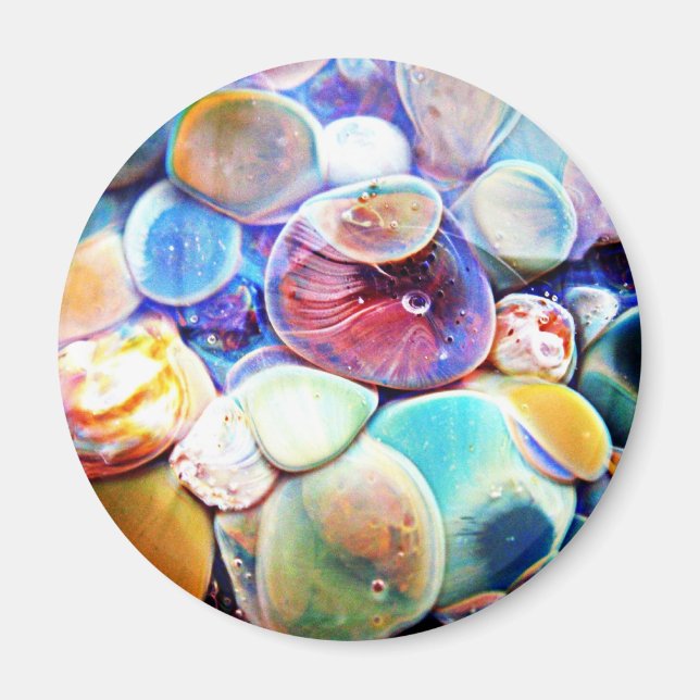 Lampwork Verre Abstrait Aimant en pierre sous-mari (Devant)