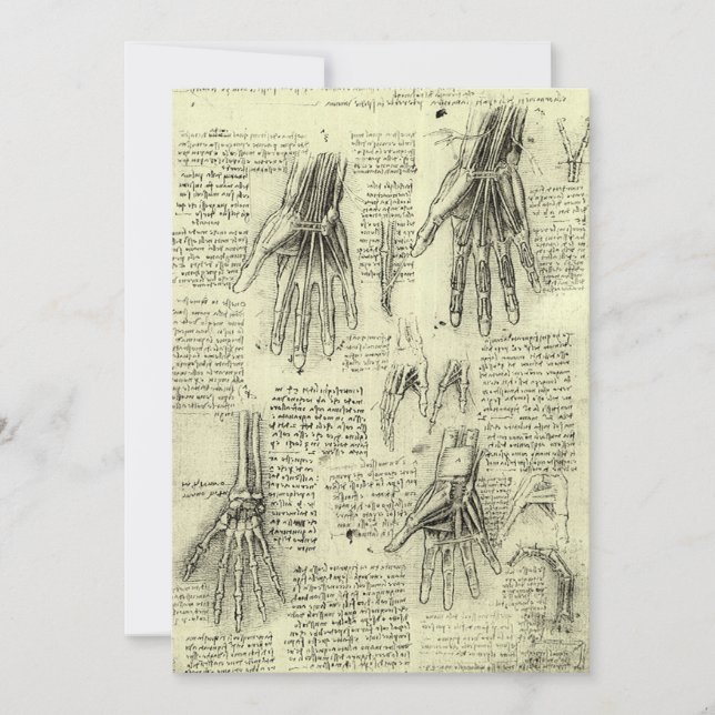 L'anatomie de la main humaine de Léonard de Vinci (Devant)