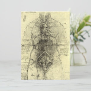 L'anatomie humaine de Léonard de Vinci, Torse fémi