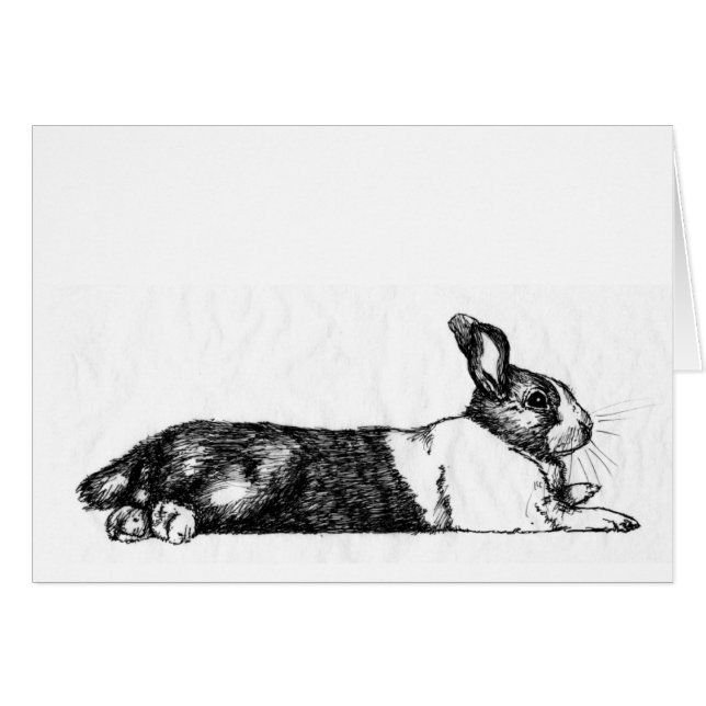 Lance le Bunneh Unamused (Devant horizontal)