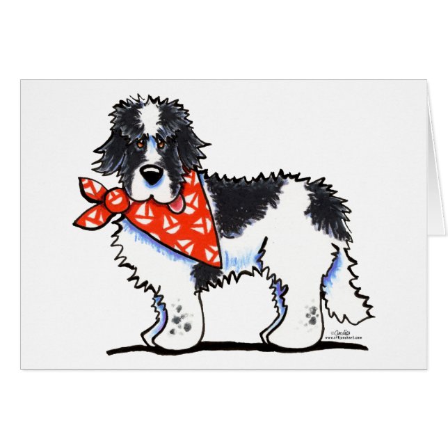 Landeer Newfie Sailor (Devant horizontal)