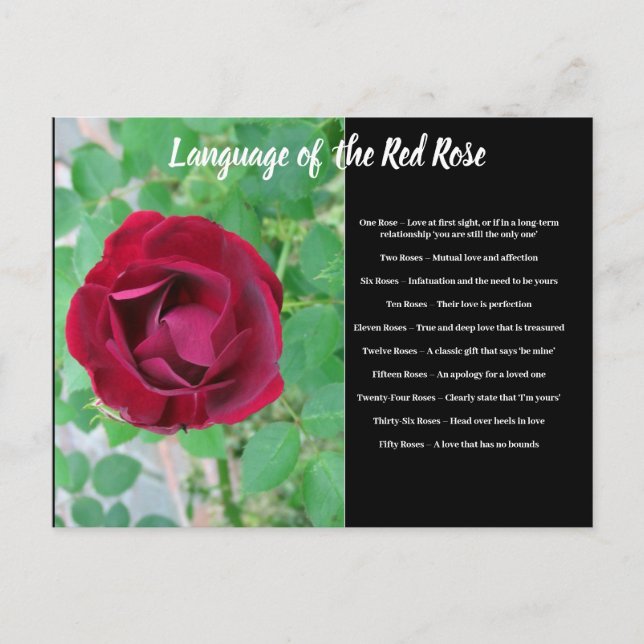 Langue de la carte postale Rose (Devant)