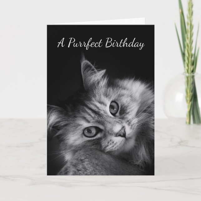 L'anniversaire de Purrfect souhaite la carte (Devant)