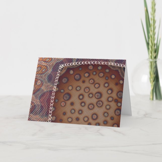 Lanny Bergner, le refuge (Devant)