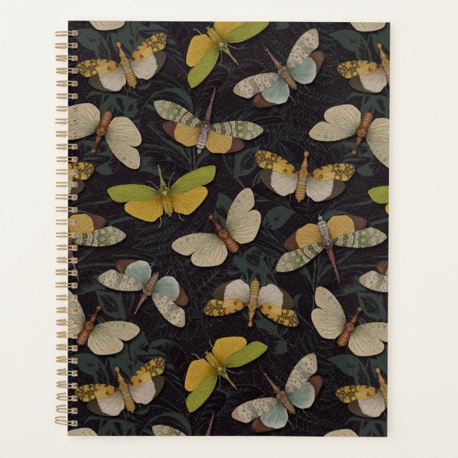 Lanternflies - Pyrops Candelaria & autres Planthop (Devant)