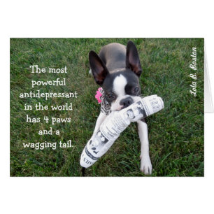 L'antidépresseur le plus puissant… CARTE VIERGE