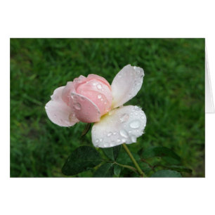 L'antiquité s'est levée 3