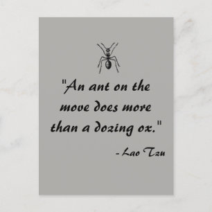 Lao Tzu Ant Citation Carte Postale