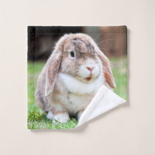 lapin à oreilles de lop mignon