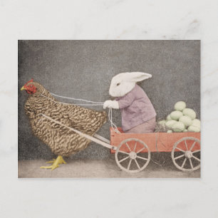Lapin avec sa carte postale de poulet