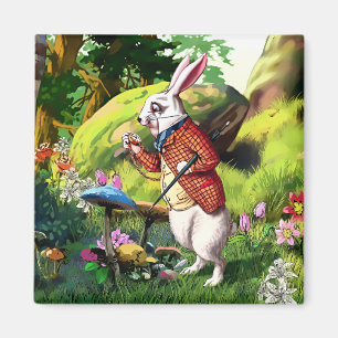 Lapin blanc  Alice au pays des merveilles Magnets