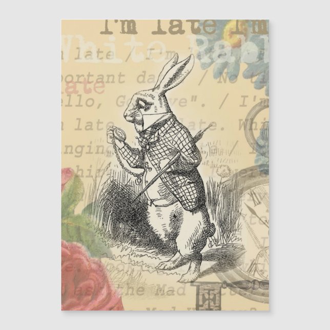 Lapin Blanc Aventures d'Alice au Pays des Merveill (Devant)