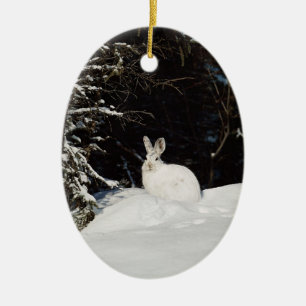 Lapin Blanc Lapin Faune Décorations de vacances